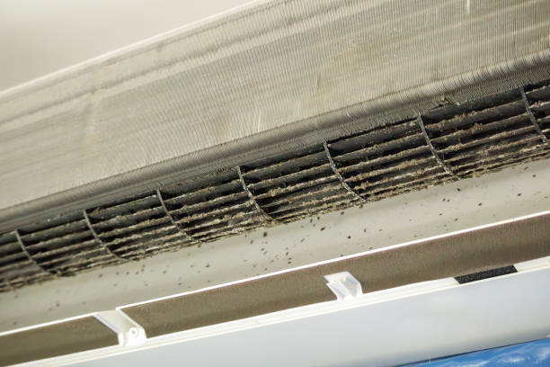 Best Ventilation Cleaning Services  in Fairbury, IL